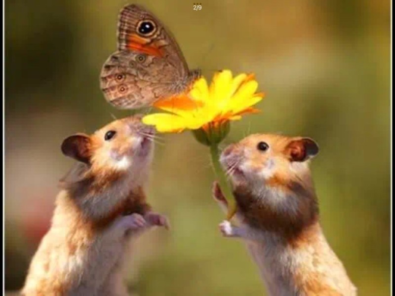 Are We Already Happier Than We Think? A Lesson in&nbsp;Contentment